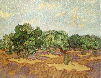 Vincent Van Gogh : Olive Grove, Pale Blue Sky